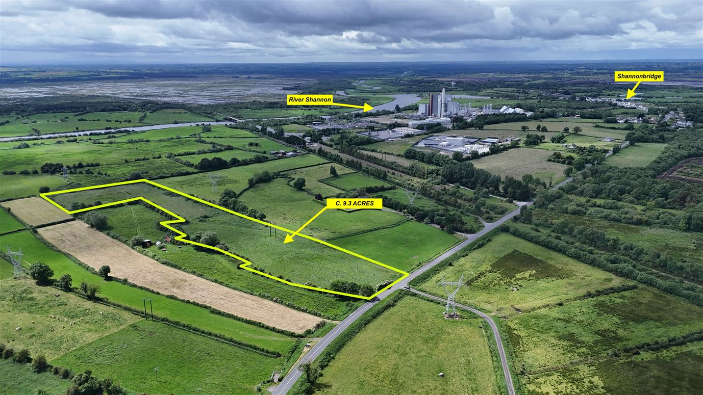 9.3 acres (approx.) at Cloniffeen, Shannonbridge, Co. Offaly