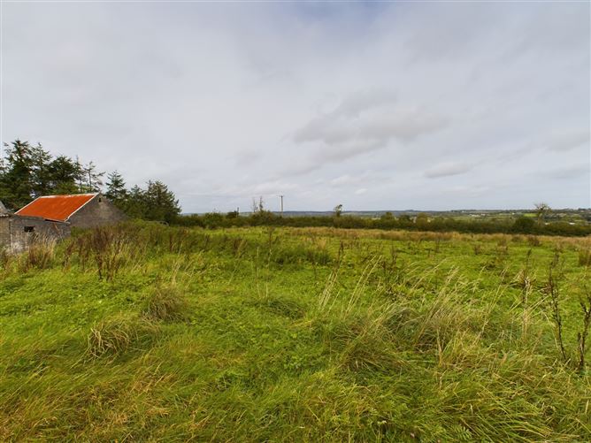 Mayo, Crettyard, Laois