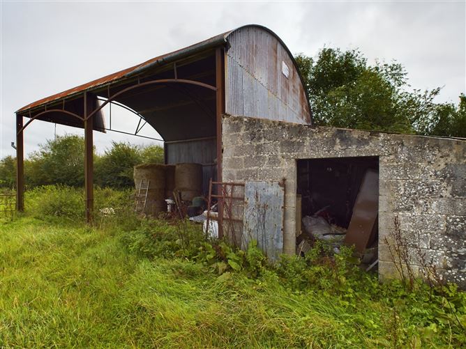Mayo, Crettyard, Laois