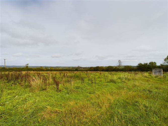 Mayo, Crettyard, Laois