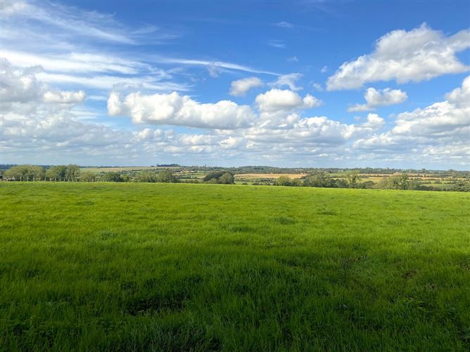 Culmullin Lodge & Stud, Drumree, Meath