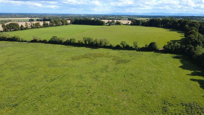 Culmullin Lodge & Stud, Drumree, Meath