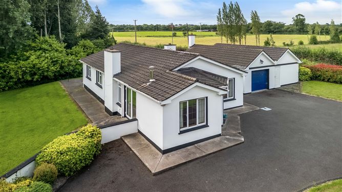 Newtownmoynagh, Trim, Co. Meath