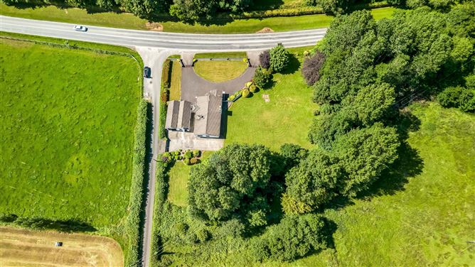 Newtownmoynagh, Trim, Co. Meath
