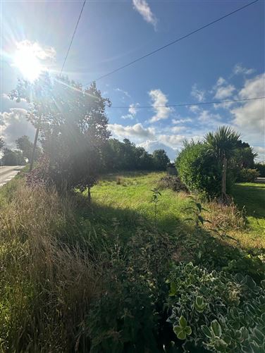 Rassan, Hackballscross, Louth