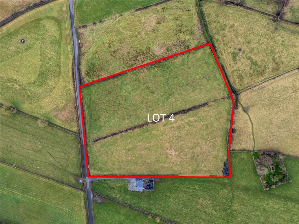 LOT 4 (c. 9.68 Acres), Lemanaghan, Ballycumber, Co. Offaly