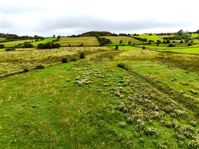 Tullinacurra, Swinford, Co. Mayo