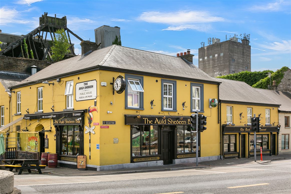 Auld Shebeen Gastro Pub and Adjoining Development Site (c. 119 acres), Athy, Kildare
