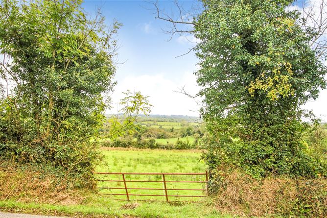 Mullynadrumman, Mohill, Co. Leitrim