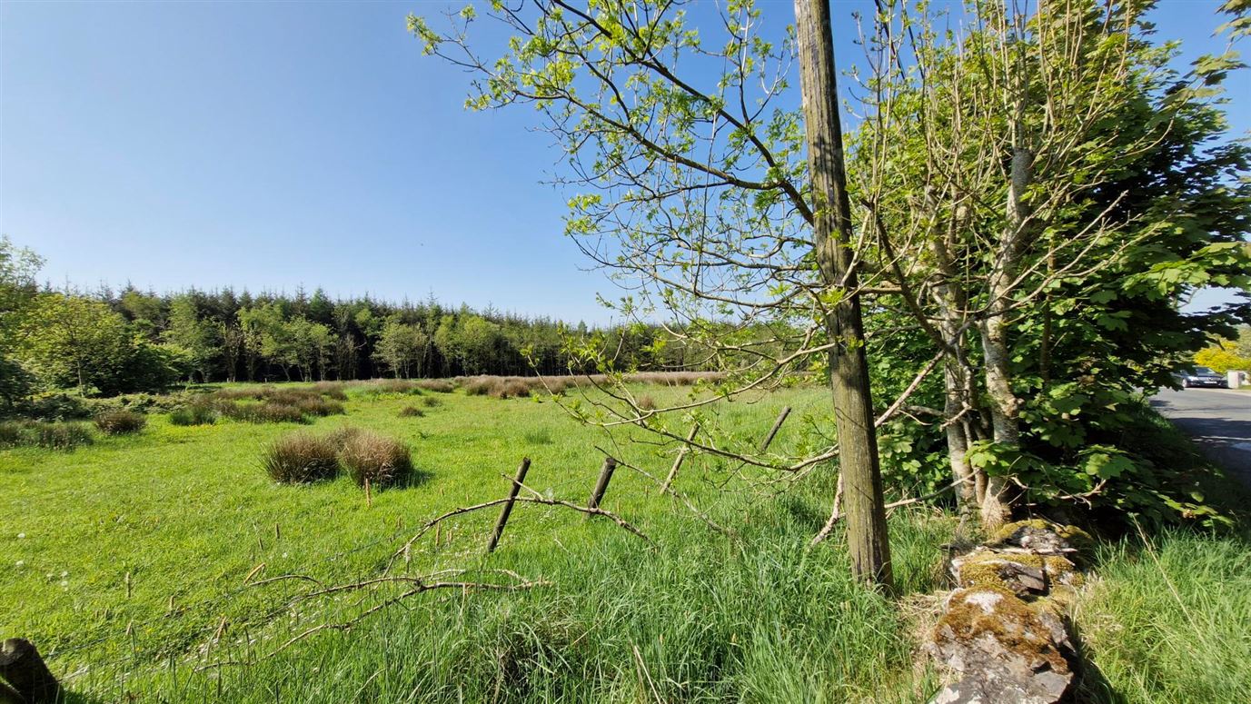 SITE B., Ballygraney, Ballymacward, Ballinasloe, Co. Galway