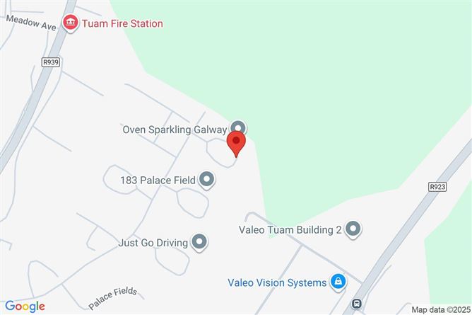160 Palace Fields, Tullinadaly Road, Tuam, Co. Galway