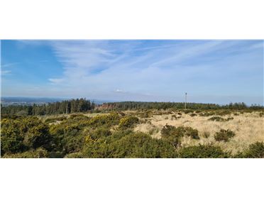 Image for Broughills Hill, Hollywood, Wicklow