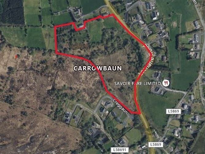 13.44 Acres Of Land Carrowbaun, Carrowbaun, Westport, Co. Mayo