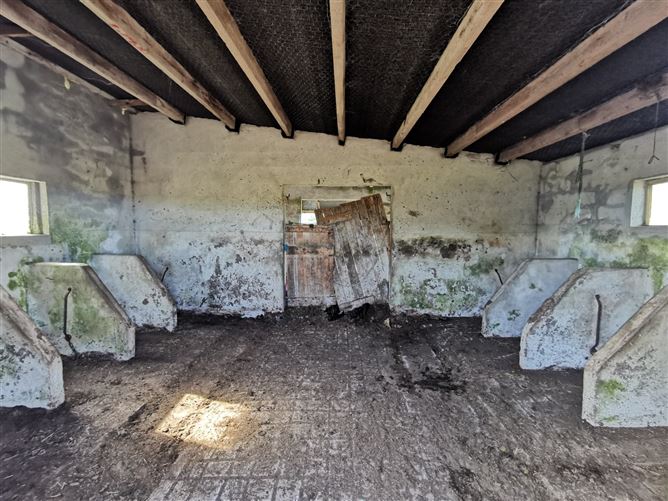Cashelsheenahan, Swinford, Co. Mayo