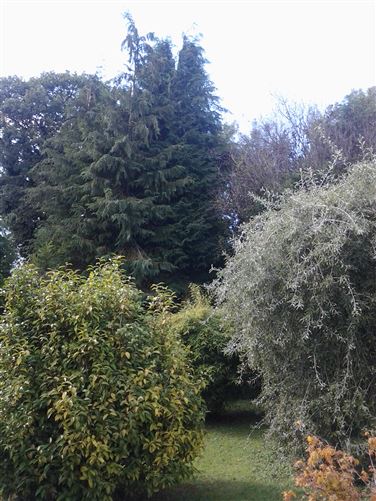 Churchland, Tinahely, Wicklow