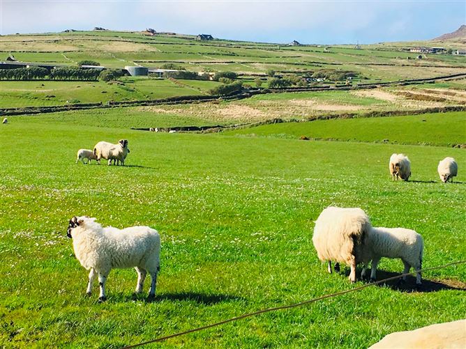 4 Bed in Dunquin,Dunquin,  Kerry