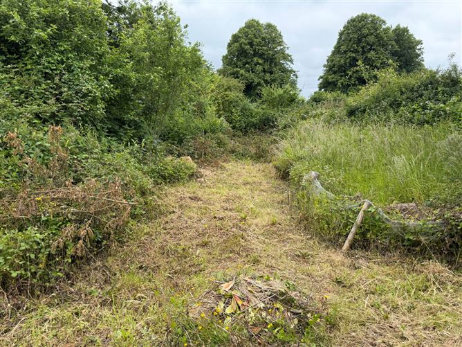 Photo 23 of 24 — Burges, Ballylooby, Cahir, County Tipperary