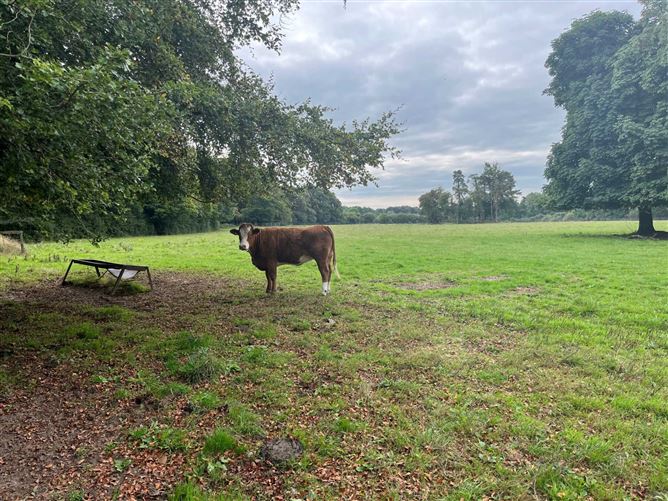 Res On Approx. 71 Acres, Newpark, Donadea, County Kildare