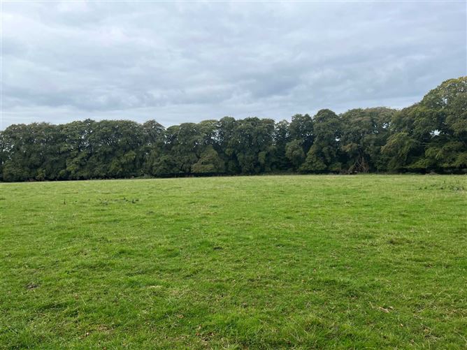 Res On Approx. 71 Acres, Newpark, Donadea, County Kildare