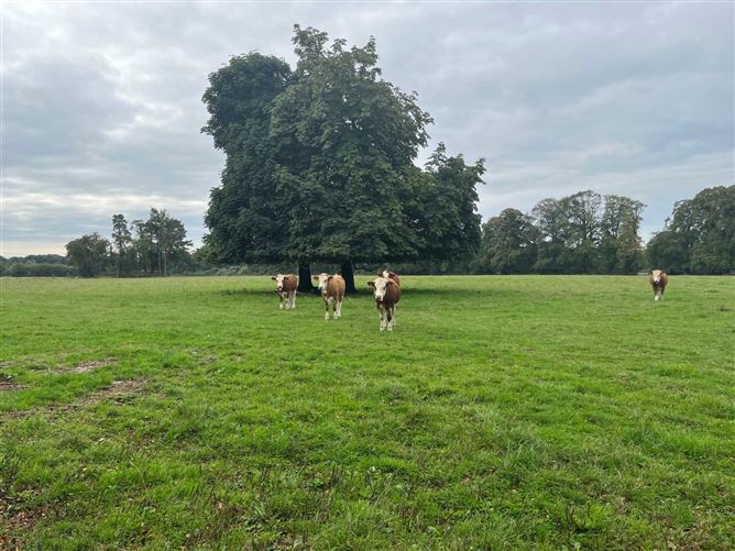 Res On Approx. 71 Acres, Newpark, Donadea, County Kildare