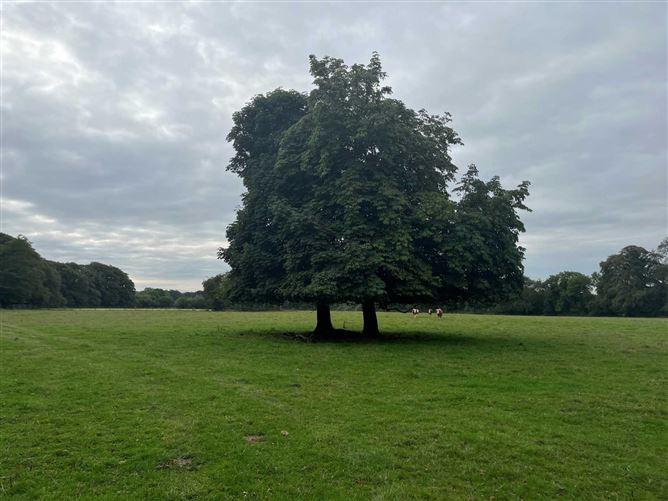 Res On Approx. 71 Acres, Newpark, Donadea, County Kildare