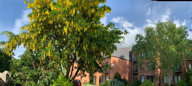 13 Balnagowan, Palmerston Park, Rathmines, Dublin 6