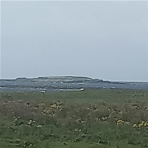 Clohaninchy, Lower Quilty, Quilty, Clare