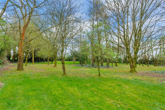 Corlyus, Ballynagappa, Clane, Co. Kildare