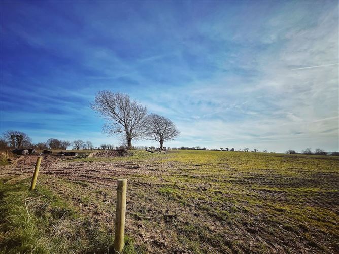86 Acre Residential Farm, Knocknagopple, Halfway House, Faithlegg, Waterford