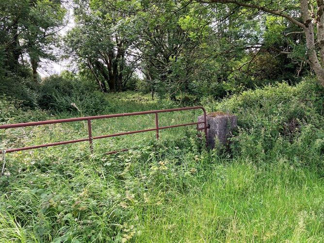 Site A Cregmore, Claregalway, Galway