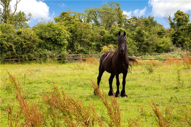 https://photos-a.propertyimages.ie/media/1/5/4/4944451/f157aa3c-f3d5-4579-8785-5012006e4246_l.jpg
