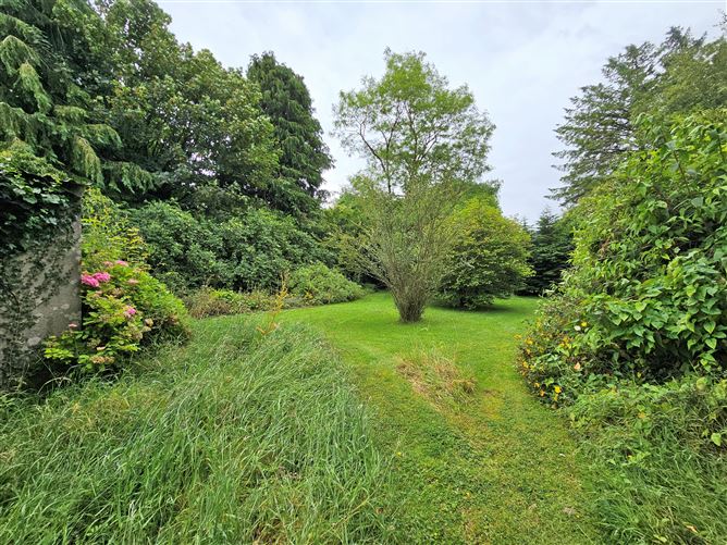 1041 Nicholastown, Kilcullen, Kildare