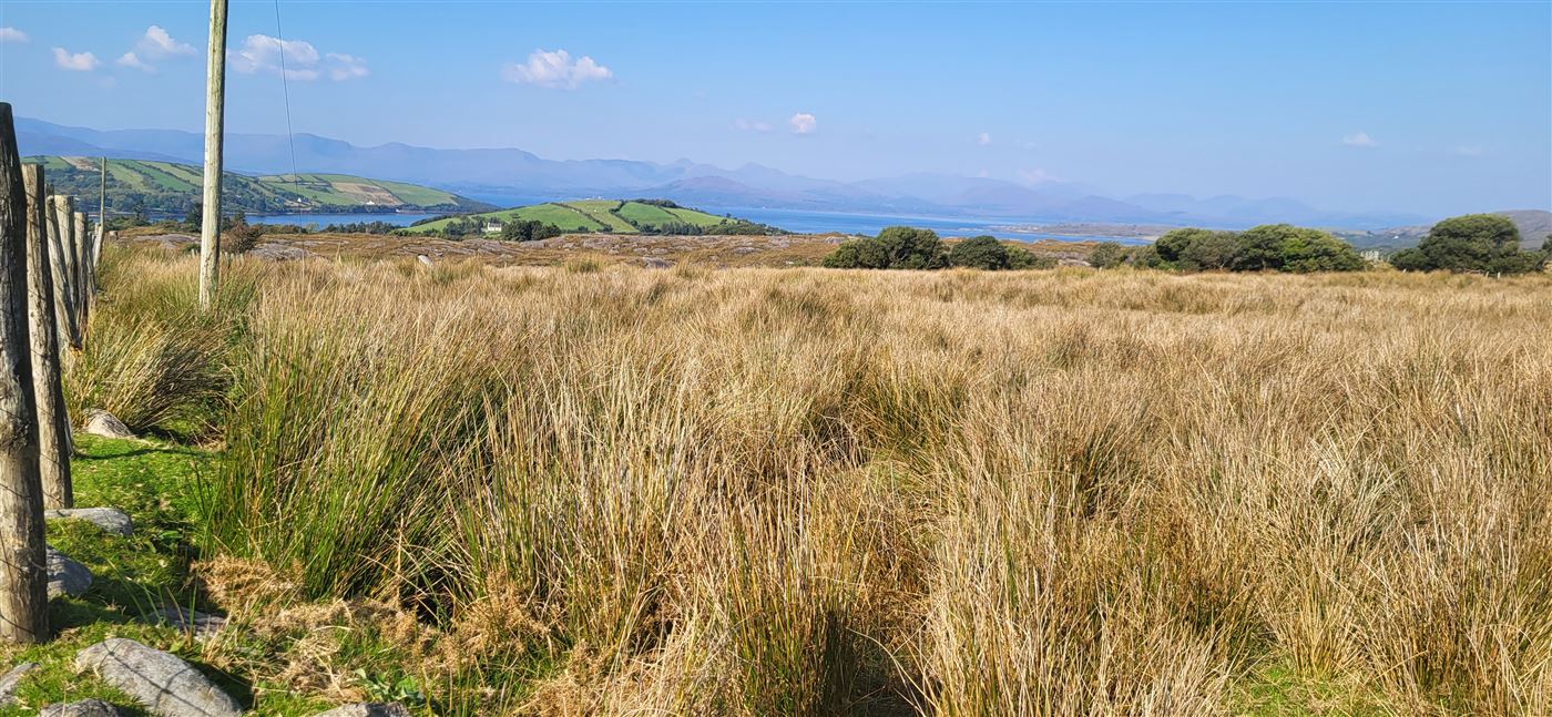 Faunleave, Ardgroom,   West Cork