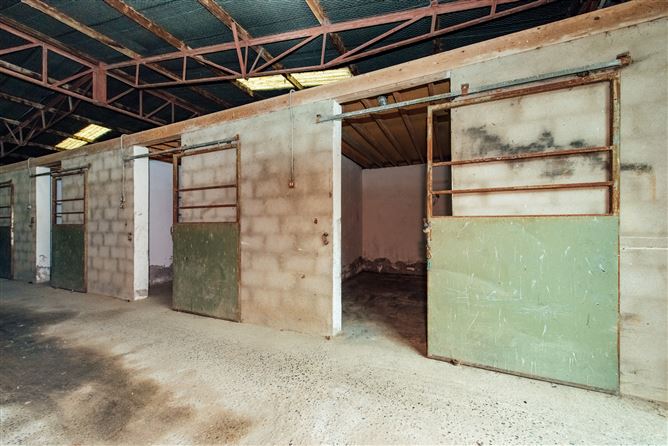 Broghan House On c. 57 Acres / 23.06 HA., Broghan Lane, The Ward, County Dublin