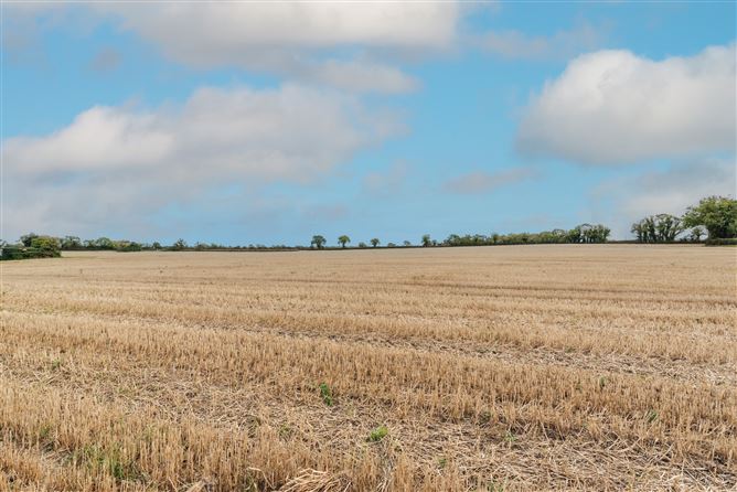 Broghan House On c. 57 Acres / 23.06 HA., Broghan Lane, The Ward, County Dublin