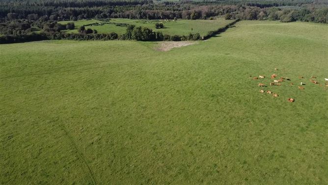 Clonickilvant, Killucan, Westmeath