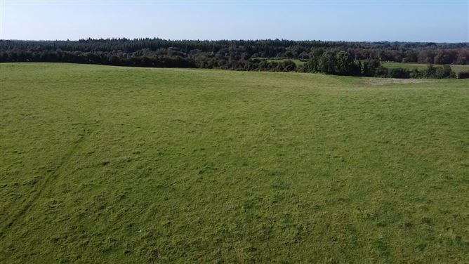 Clonickilvant, Killucan, Westmeath