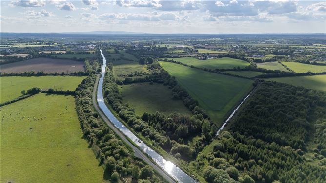 42.406 Acres/17.16 Hectares, Sallymills, Rathangan, Co. Kildare