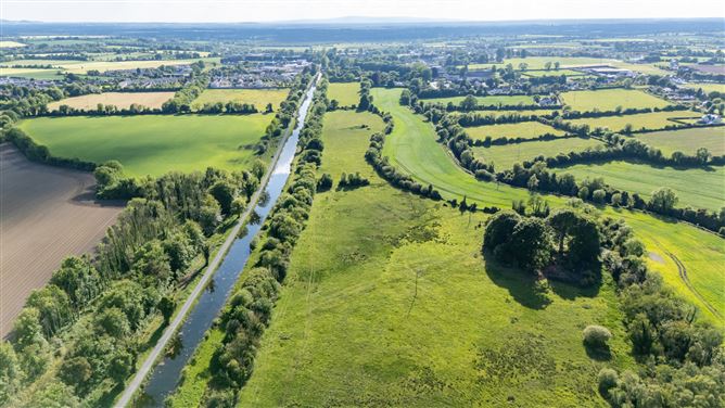 42.406 Acres/17.16 Hectares, Sallymills, Rathangan, Co. Kildare
