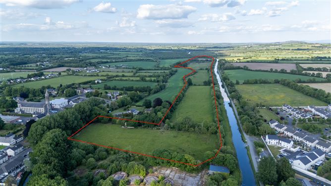42.406 Acres/17.16 Hectares, Sallymills, Rathangan, Co. Kildare