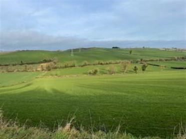 Image for Lands At Anaglog, Ardee, Folio Lh14638f, Ardee, Louth