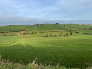 Lands At Anaglog, Ardee, Folio Lh14638f, Ardee, Louth