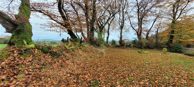 Imaal Lodge, Donard, Wicklow