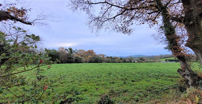 Imaal Lodge, Donard, Wicklow