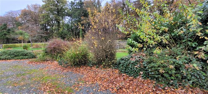 Imaal Lodge, Donard, Wicklow
