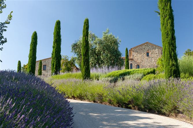 Ancient Vista,Allerona, Umbria, Italy