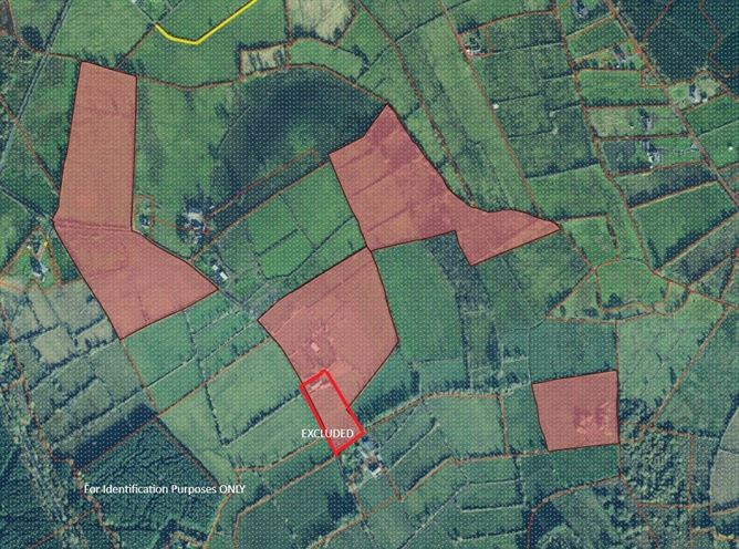 Lands Drumgowla, Kilnagross, Carrick-On-Shannon, Co. Leitrim