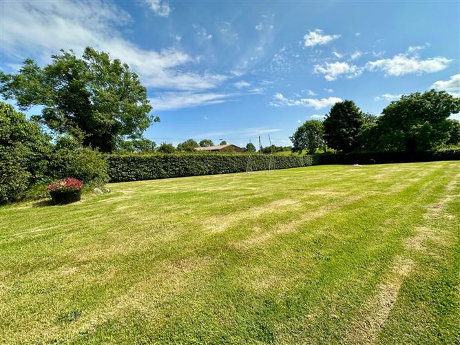 Sheelagh , Hackballscross, Louth