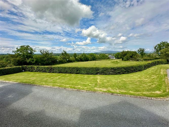 Sheelagh , Hackballscross, Louth