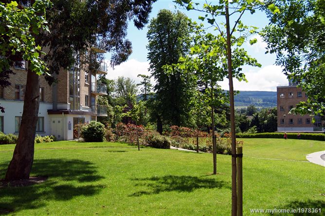 10 The Holly, Rockfield , Dundrum, Dublin